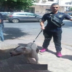 Aissa dz rapeur